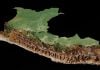 perú